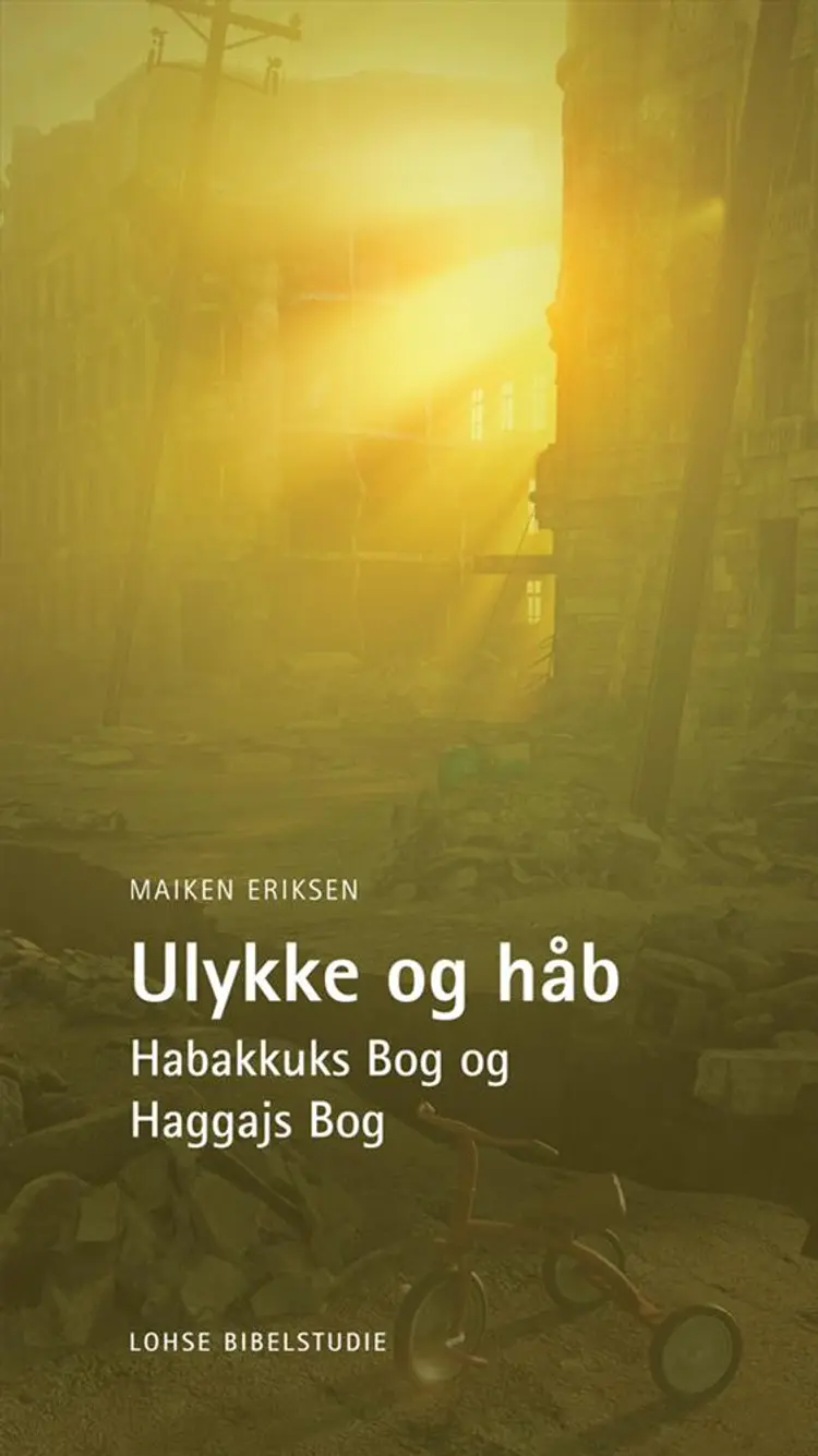 Ulykke og håb af Maiken Eriksen