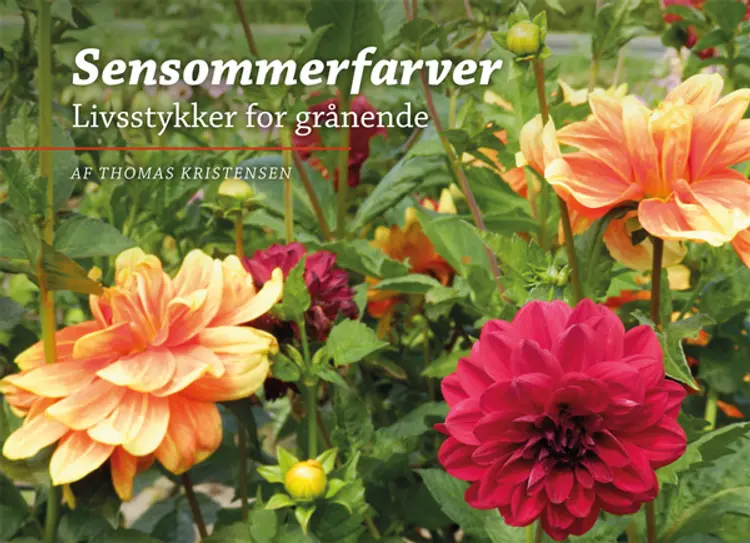 Sensommerfarver af Thomas Kristensen