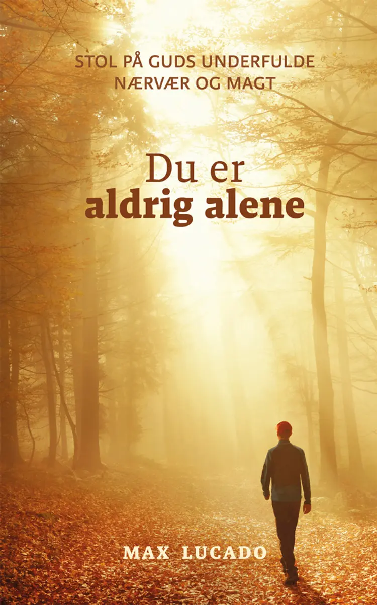 Du er aldrig alene af Max Lucado