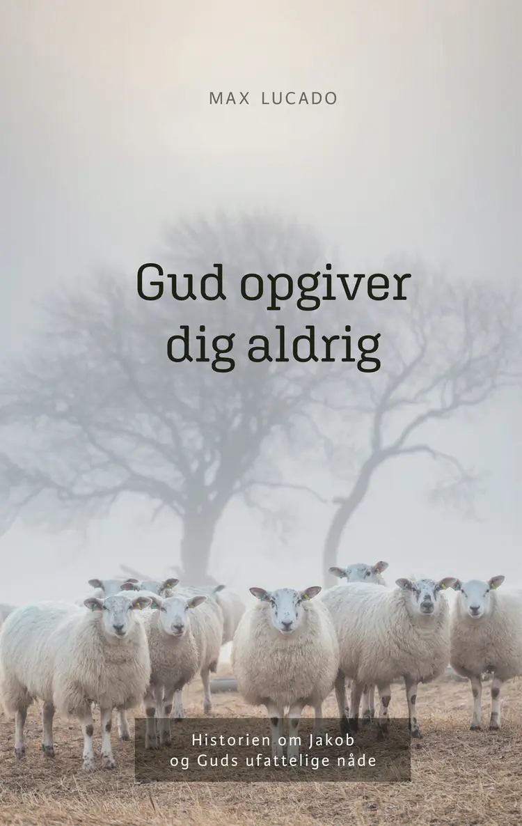 Gud opgiver dig aldrig af Max Lucado
