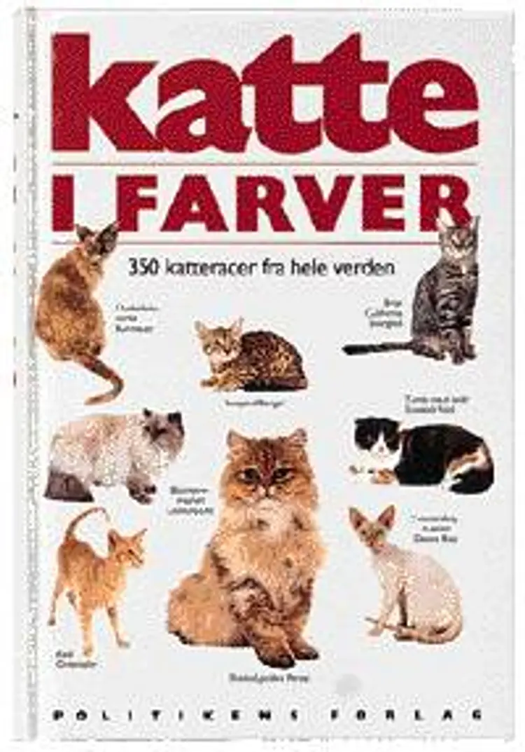 Katte i farver af David Alderton