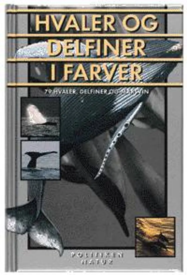 Hvaler og delfiner i farver af Mark Carwardine