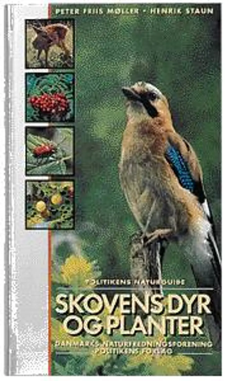Skovens dyr og planter af Peter Friis Møller