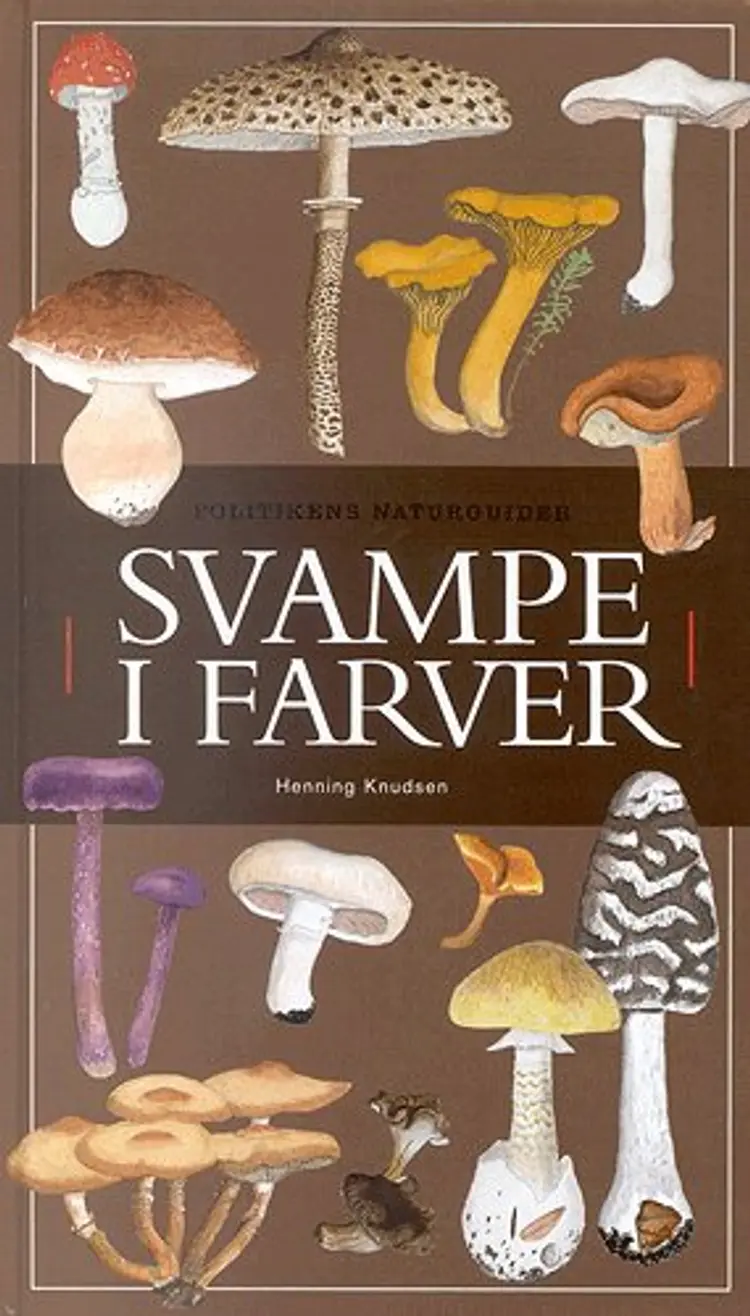 Svampe i farver af Henning Knudsen