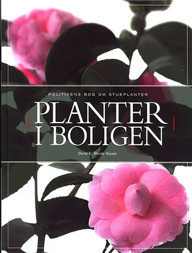 Planter i boligen af Dorte K. Rhode Nissen