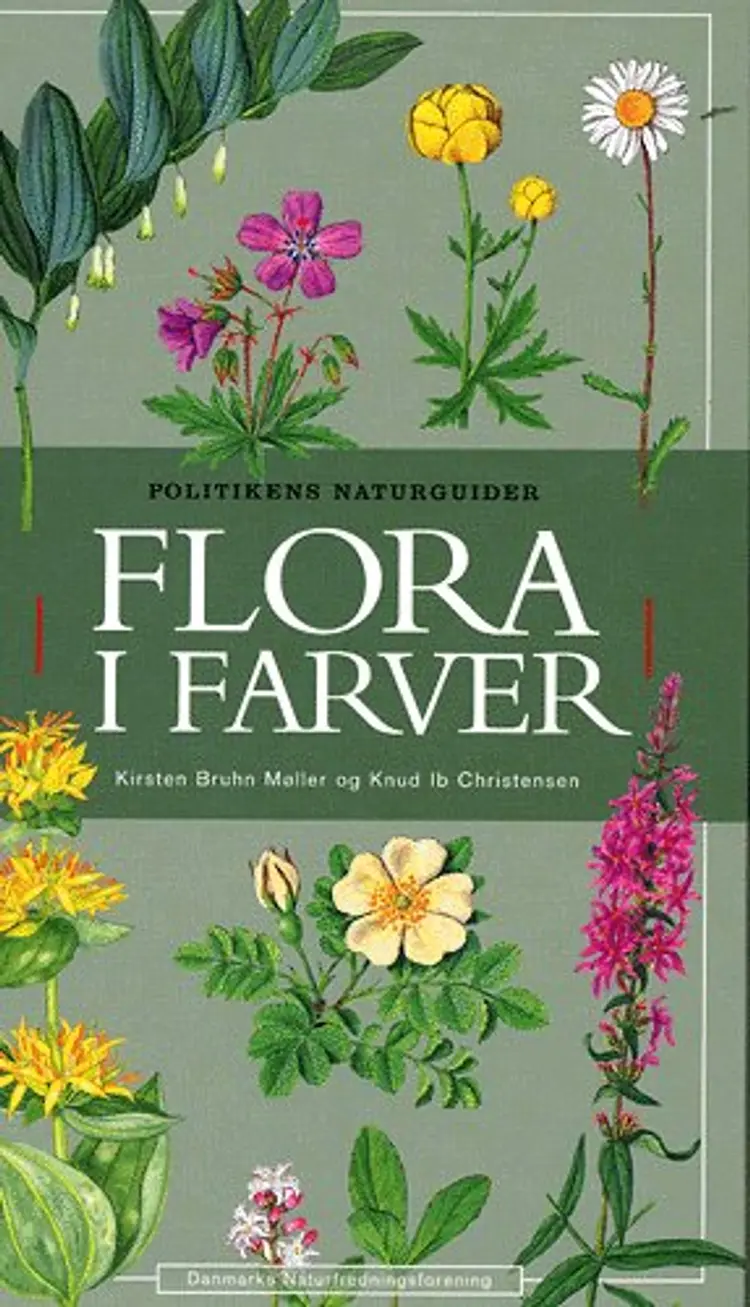 Flora i farver af Kirsten Bruhn Møller