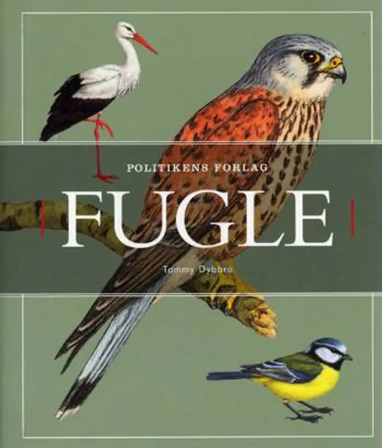 Fugle af Tommy Dybbro