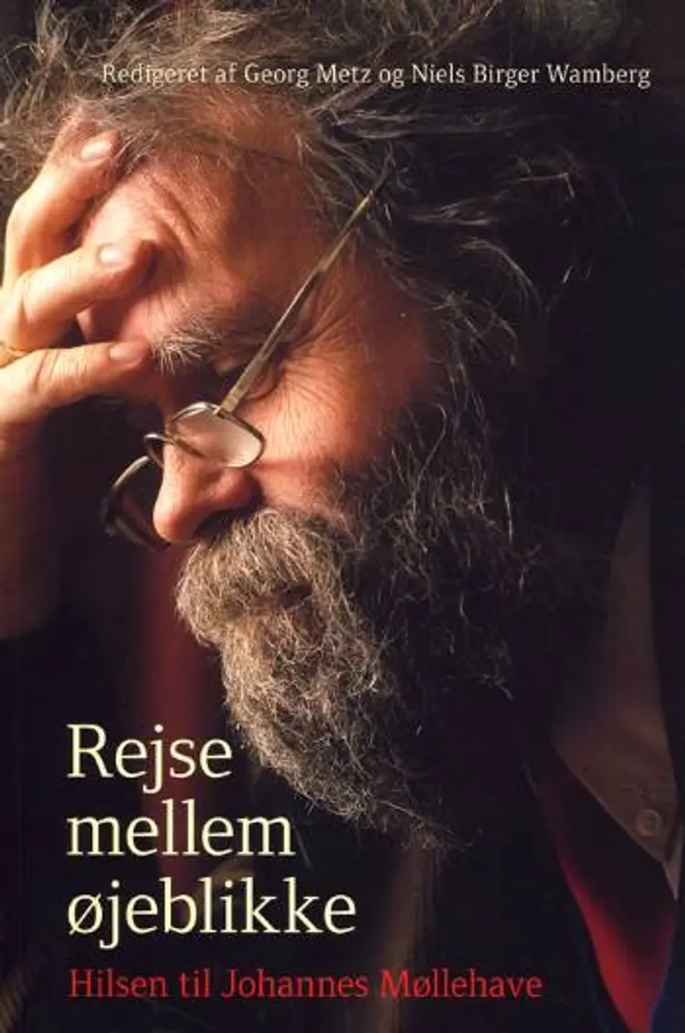 Rejse mellem øjeblikke