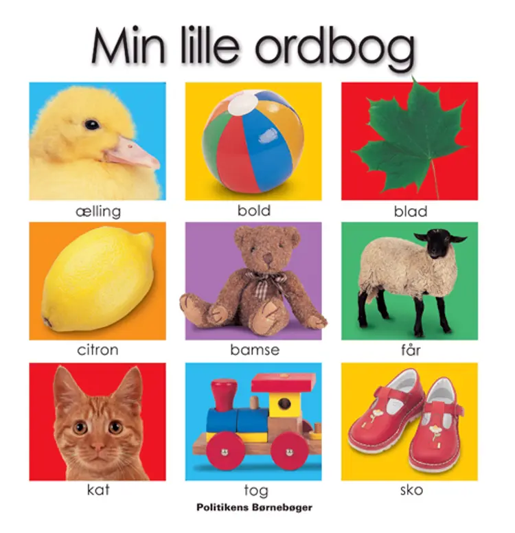 Min lille ordbog af Roger Priddy