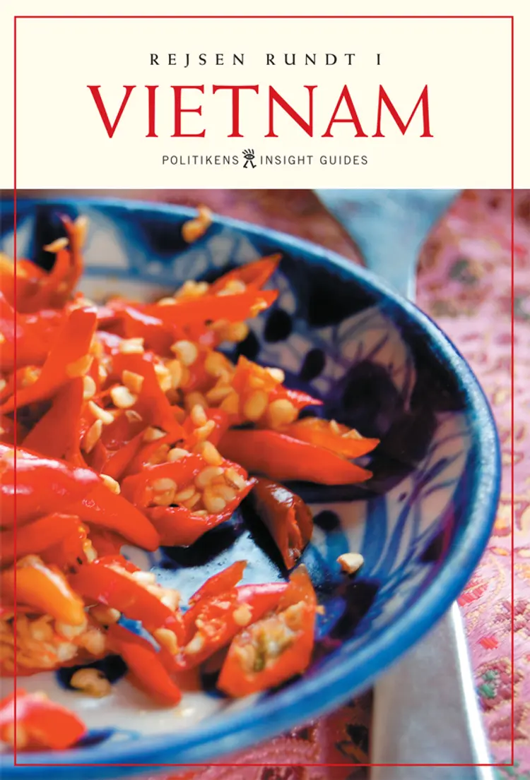 Rejsen rundt i Vietnam af Francis Dorai m.fl.