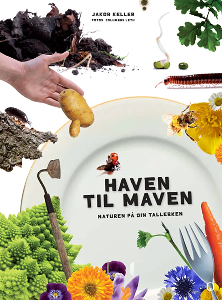 Haven til maven af Jakob Keller