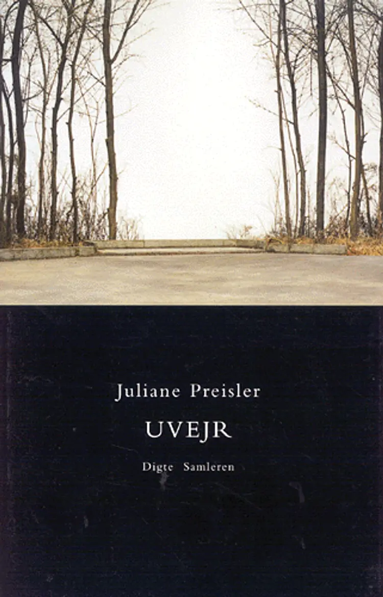 Uvejr af Juliane Preisler