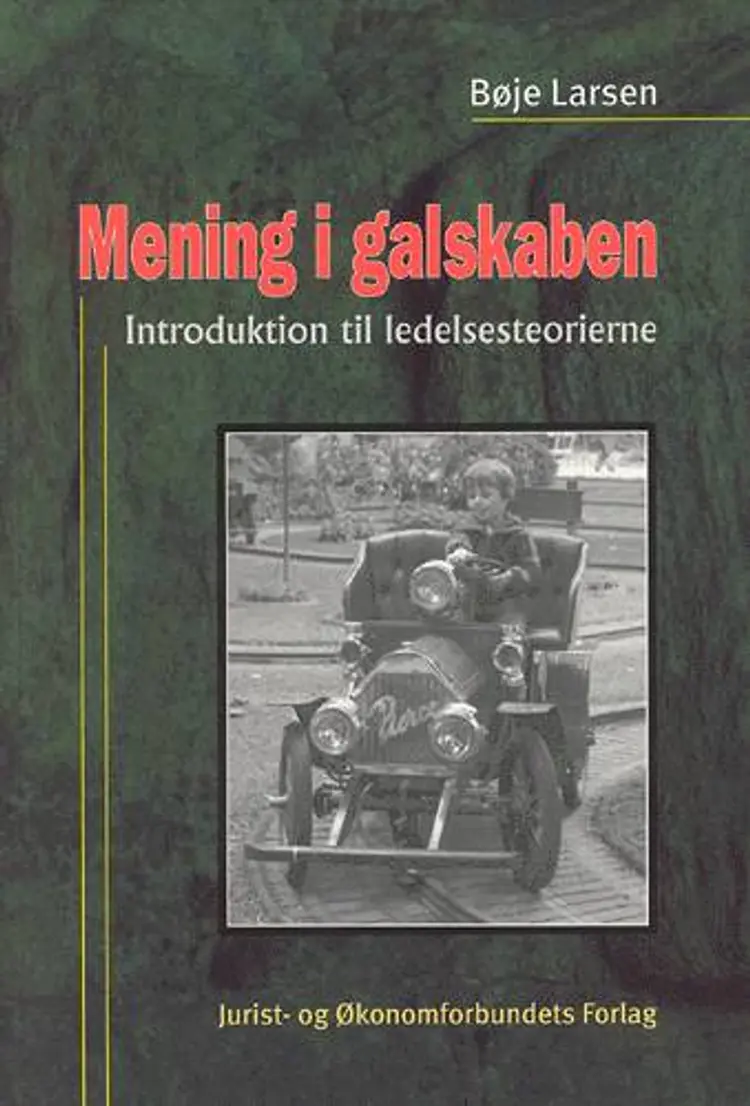 Mening i galskaben af Larsen B
