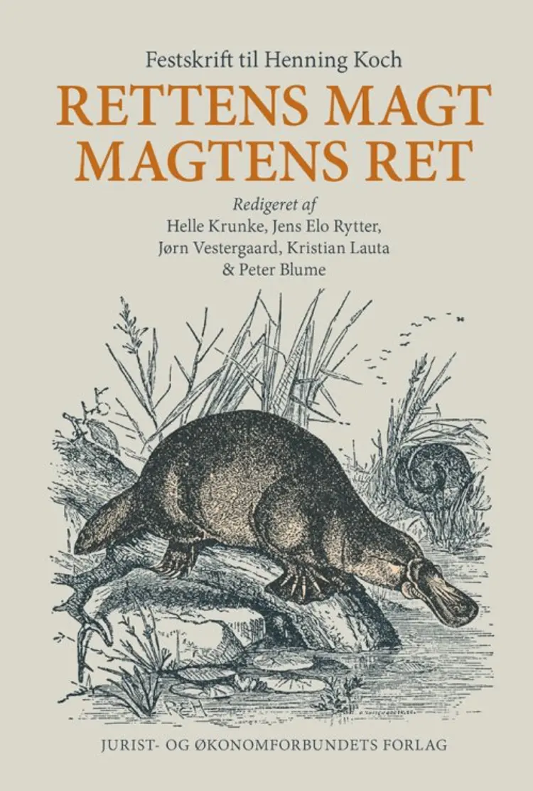 Rettens magt - magtens ret af Jørn Vestergaard