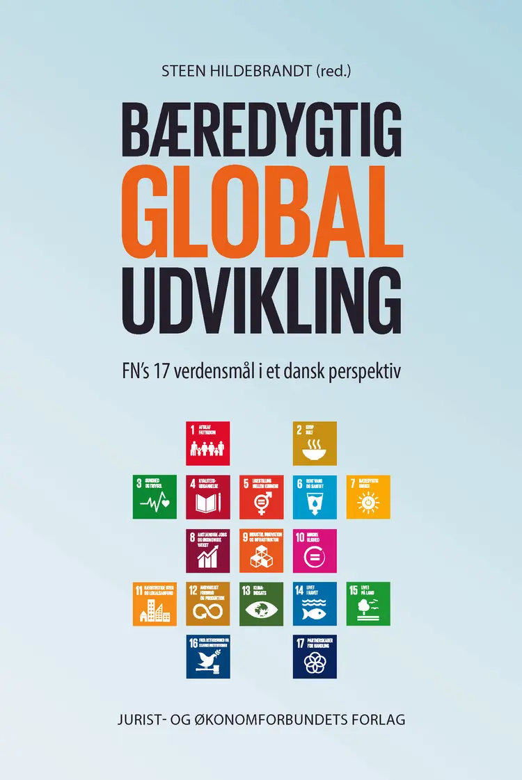 Bæredygtig global udvikling af Steen Hildebrandt