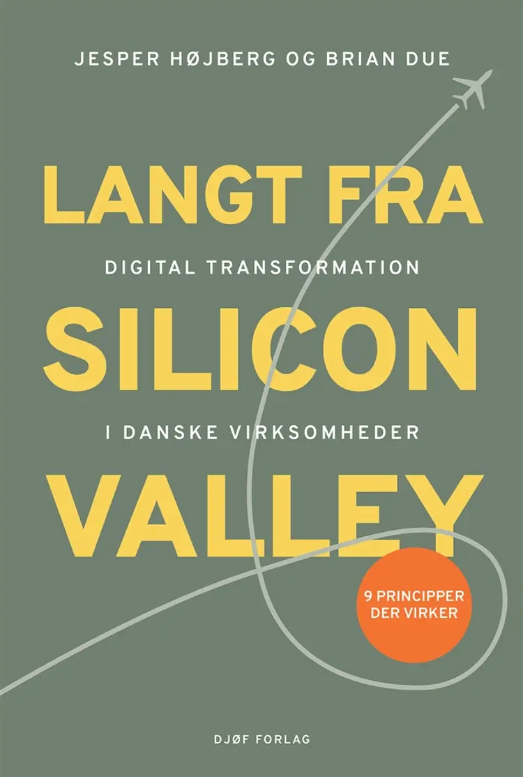 Langt fra Silicon Valley af Jesper Højberg