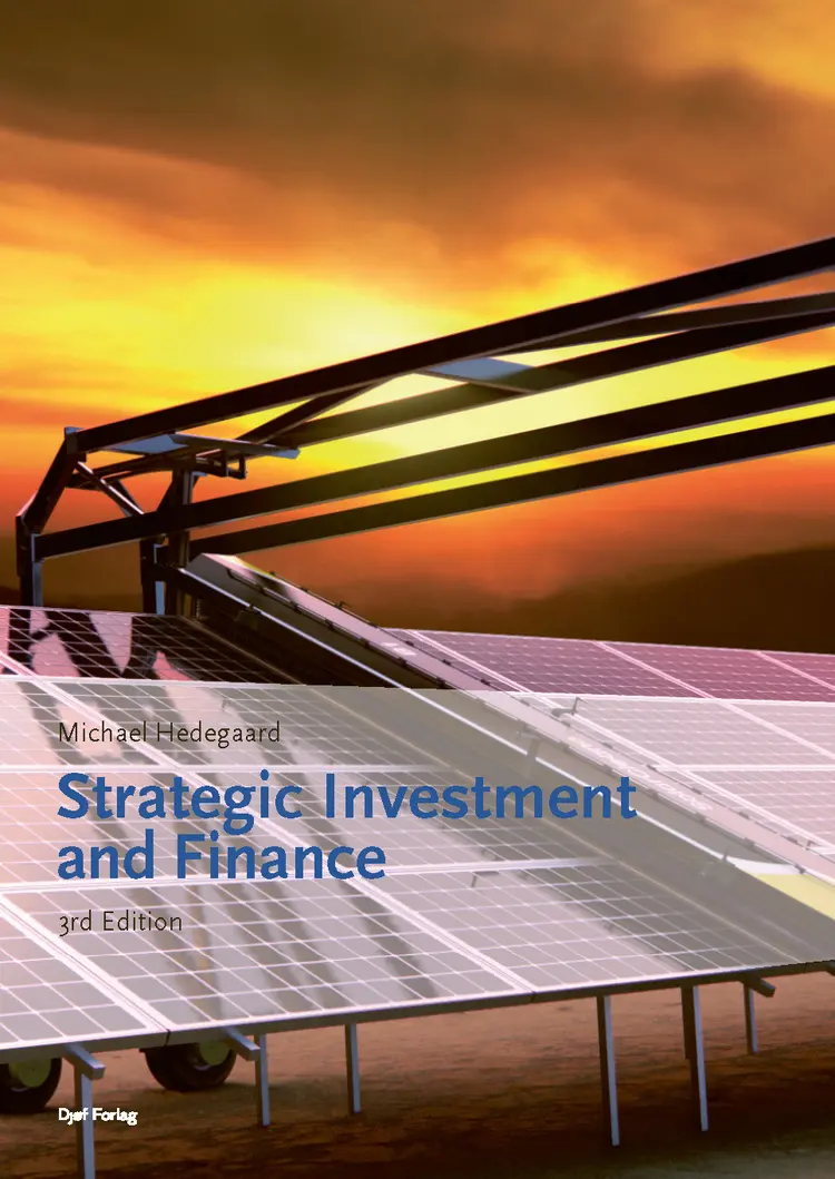 Strategic investment and finance af Hedegaard O