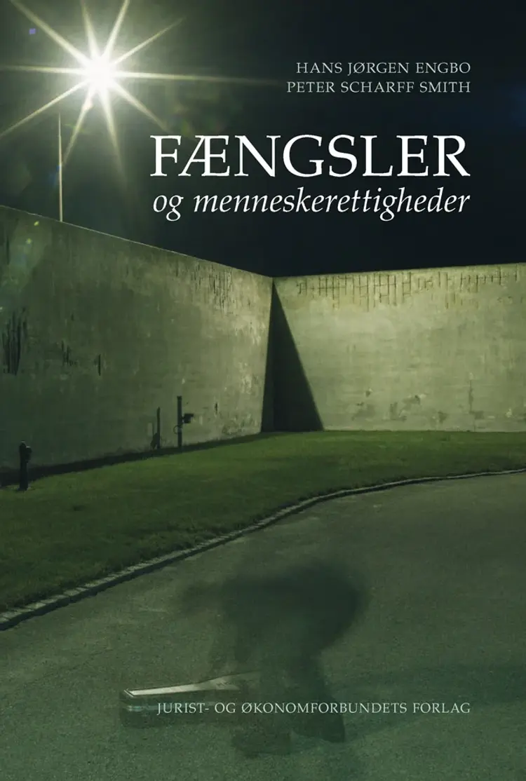 Fængsler og menneskerettigheder af Peter Scharff Smith