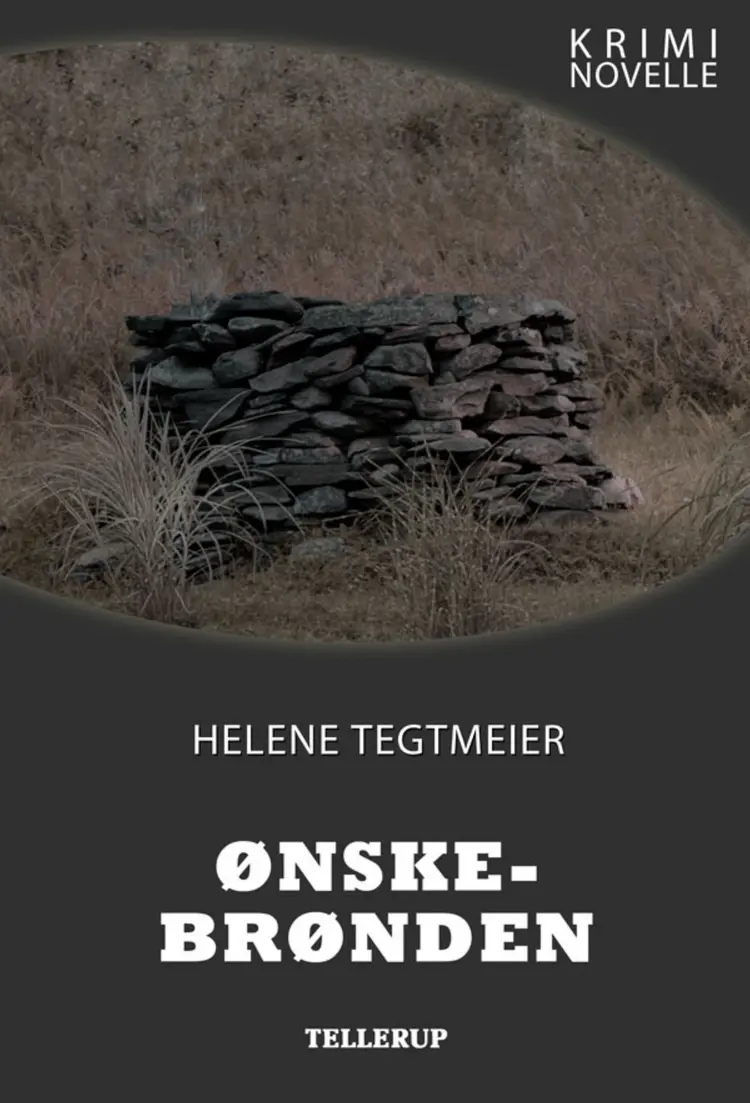 Kriminovelle - Ønskebrønden af Helene Tegtmeier
