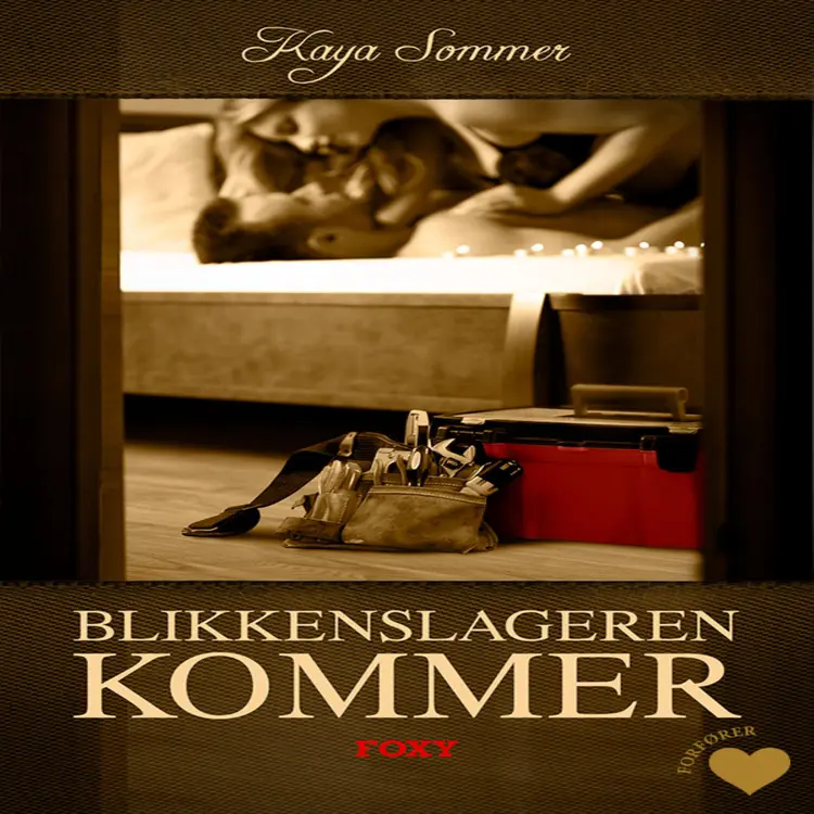 Det erotiske valg: Blikkenslageren kommer (forfører) af Kaya Sommer