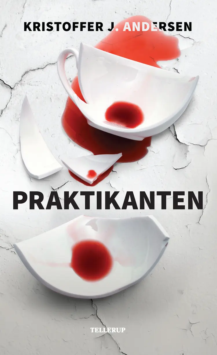 Praktikanten af Kristoffer J. Andersen