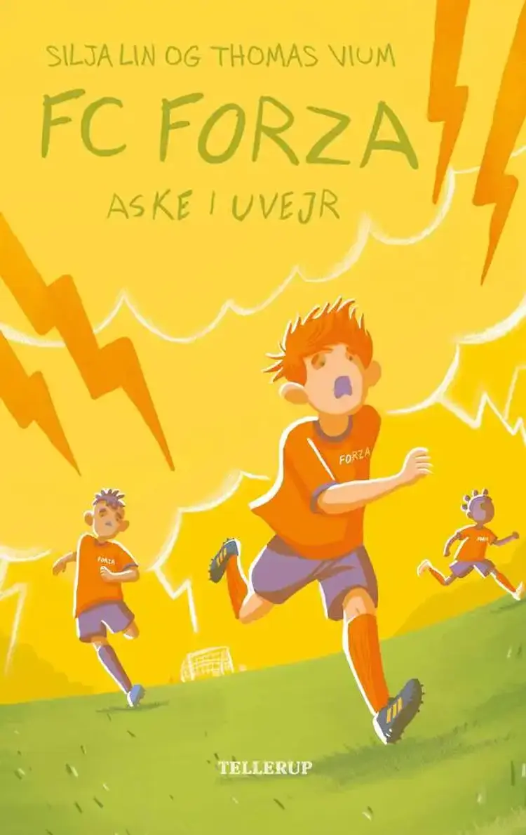 Aske i uvejr af Silja Lin