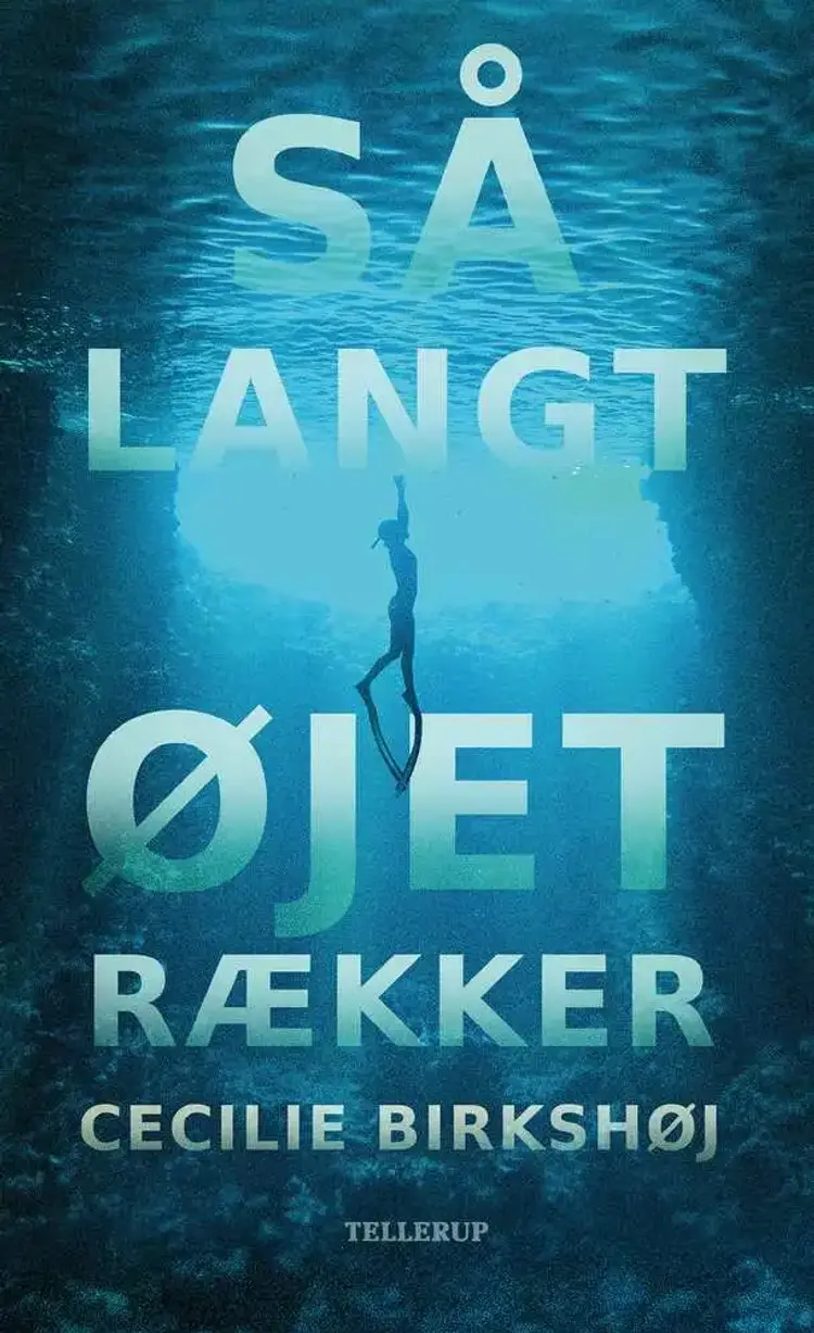 Så langt øjet rækker af Cecilie Birkshøj