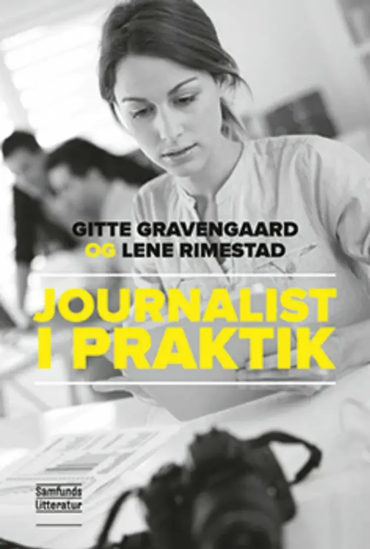 Journalist i praktik af Lene Rimestad