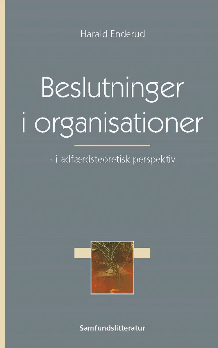 Beslutninger i organisationer af Harald Enderud