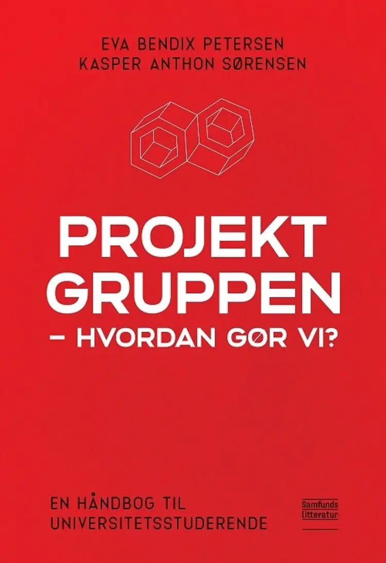 Projektgruppen - hvordan gør vi? af Eva Bendix Petersen