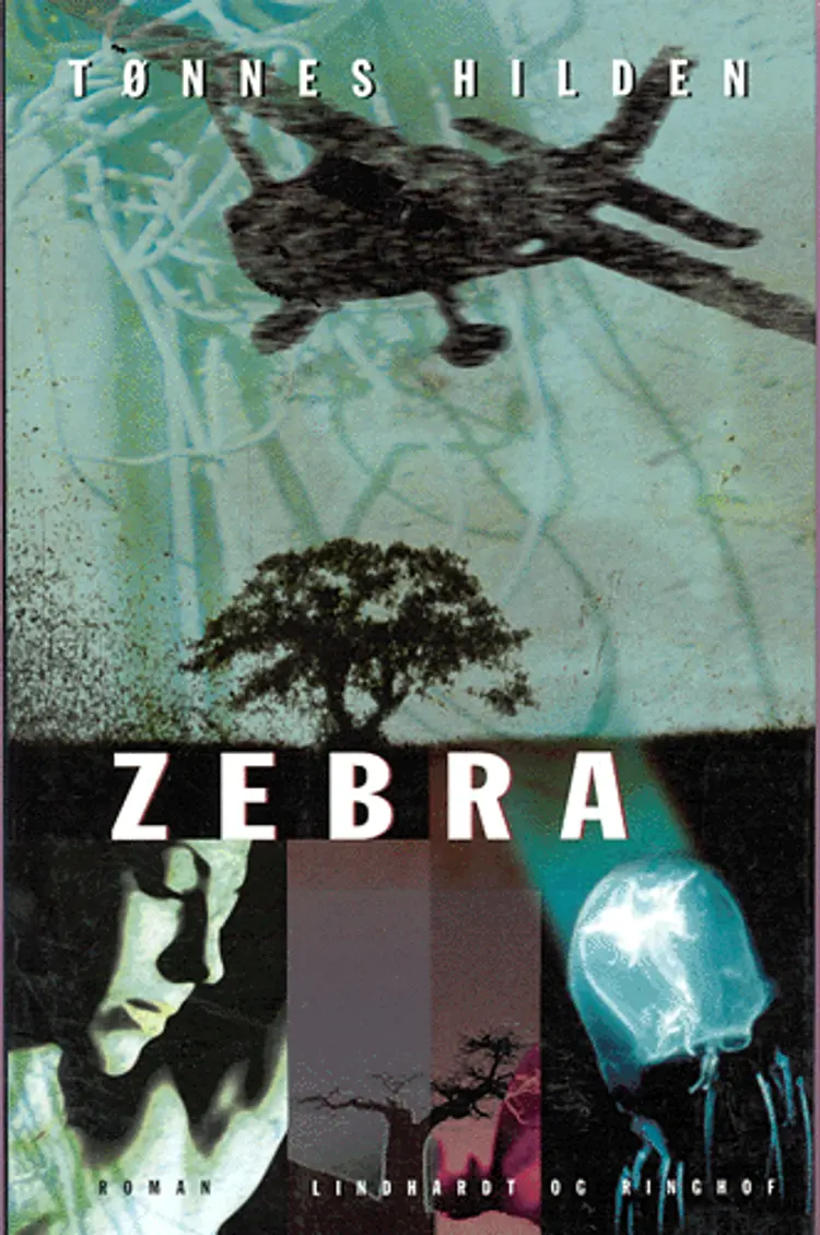 Zebra af Tønnes Hilden