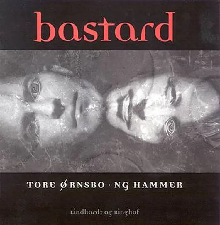 Bastard af Tore Ørnsbo