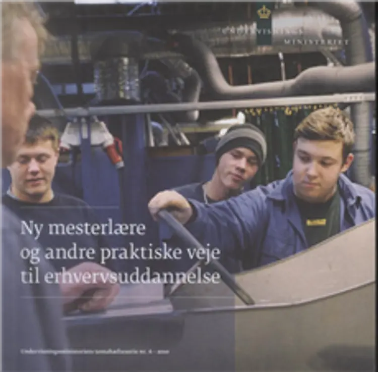 Ny mesterlære og andre praktiske veje til erhvervsuddannelse af Louise Falhoff m.fl.