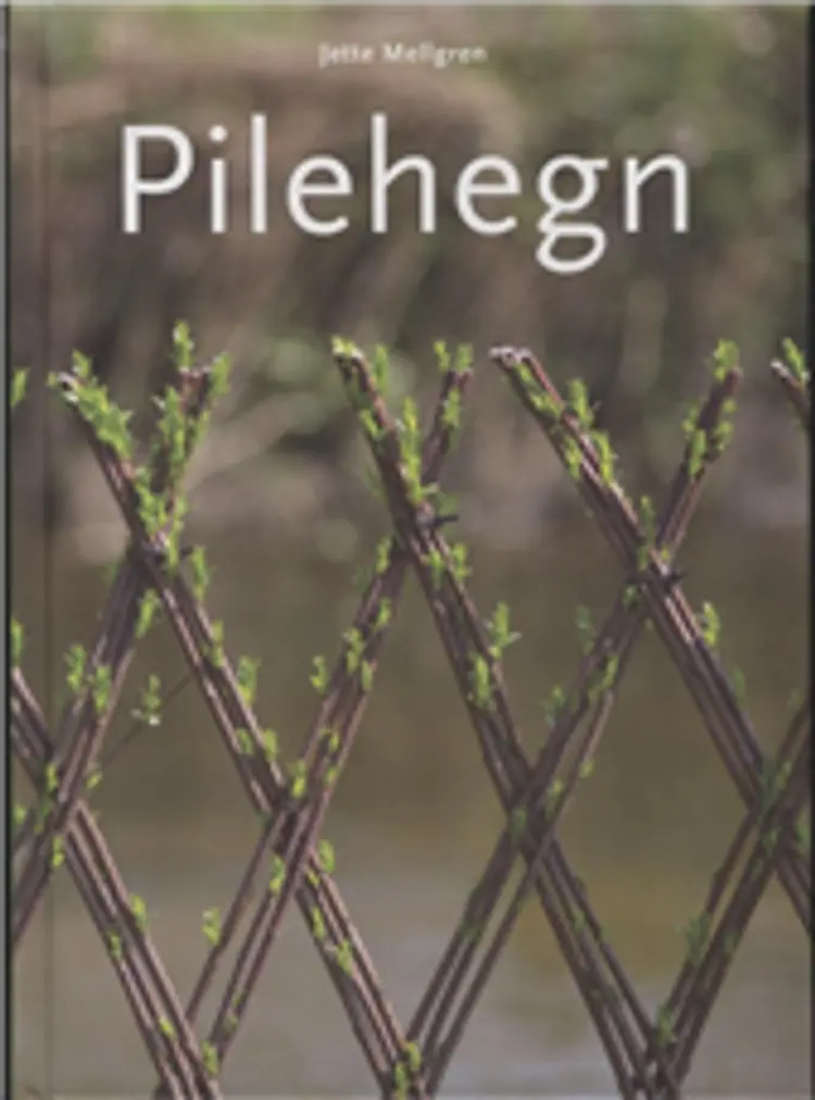 Pilehegn af Jette Mellgren