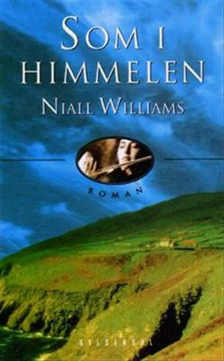 Som i himmelen af Niall Williams