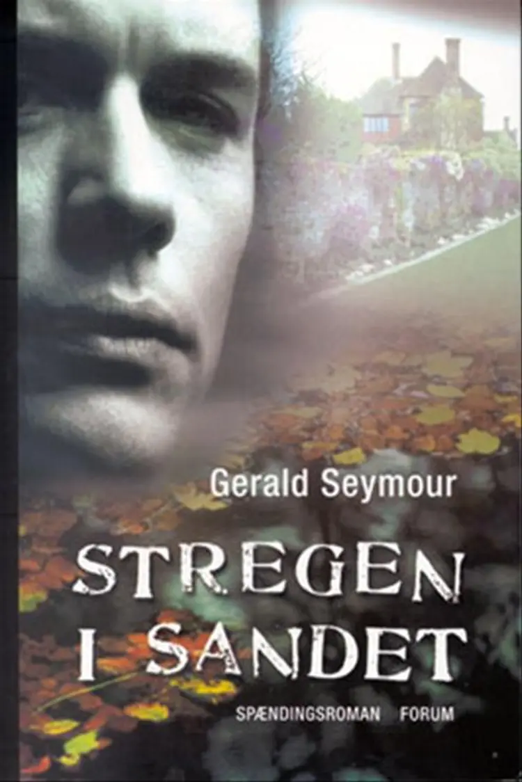 Stregen i sandet af Gerald Seymour