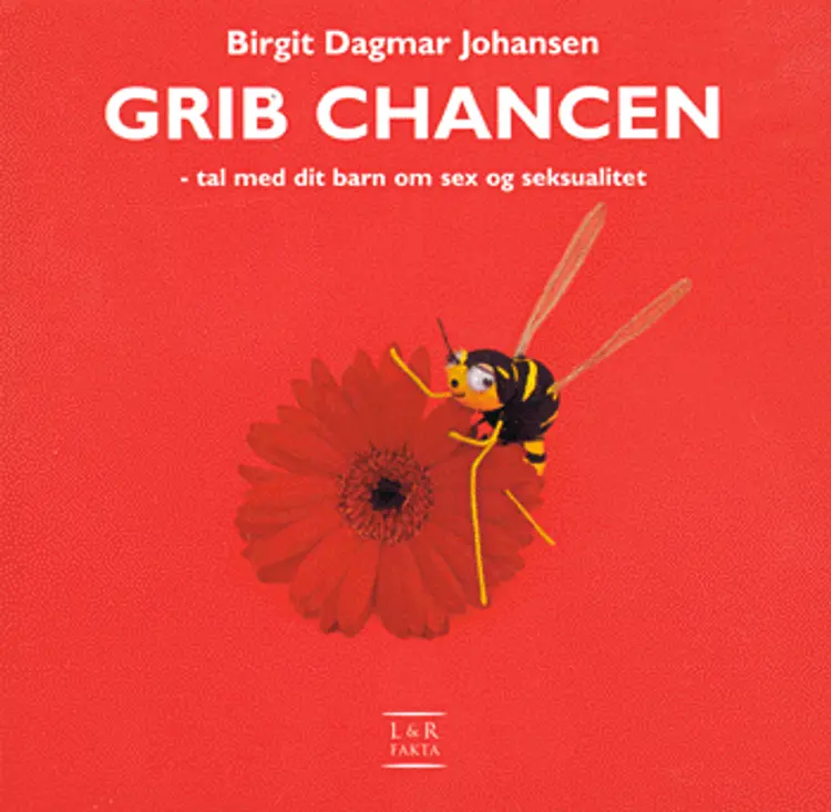 Grib chancen af Birgit Johansen