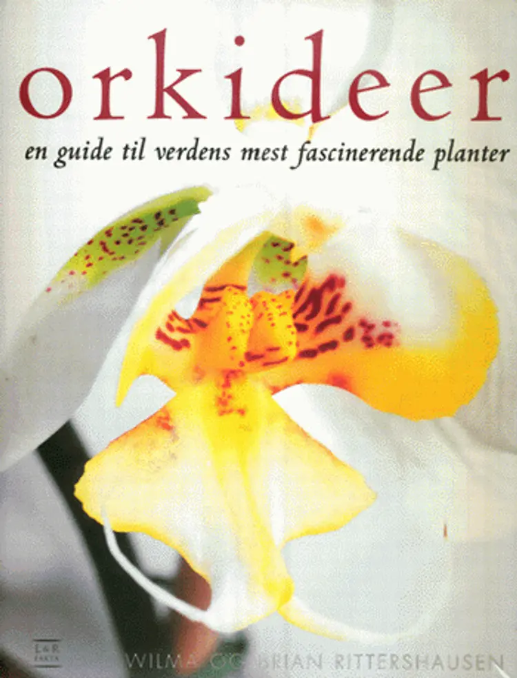 Orkideer af Wilma Ritterhausen