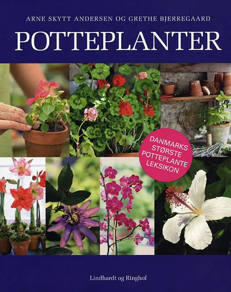 Potteplanter af Arne Skytt Andersen