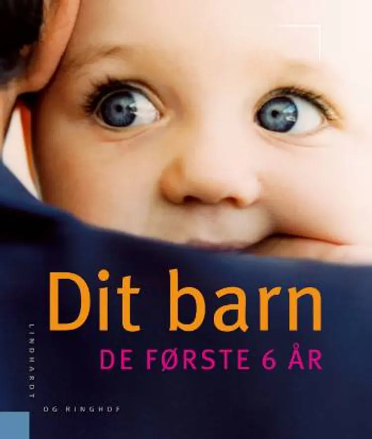 Dit barn - de første 6 år af Nina Misvær