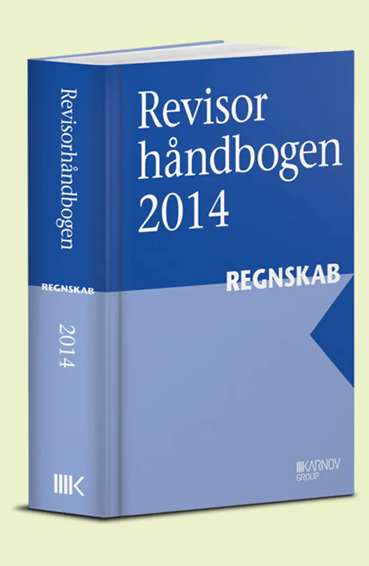 Revisorhåndbogen 2014, Regnskab af FSR - Danske Revisorer