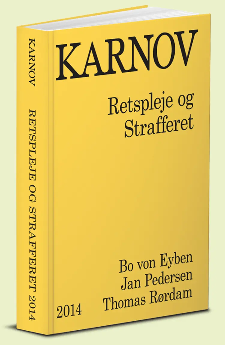 Karnov retspleje og strafferet af Jan Pedersen