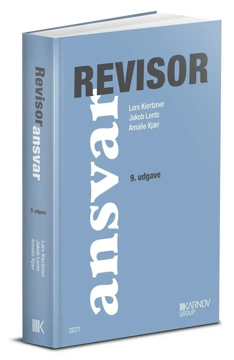 Revisoransvar af Lars Bo Langsted