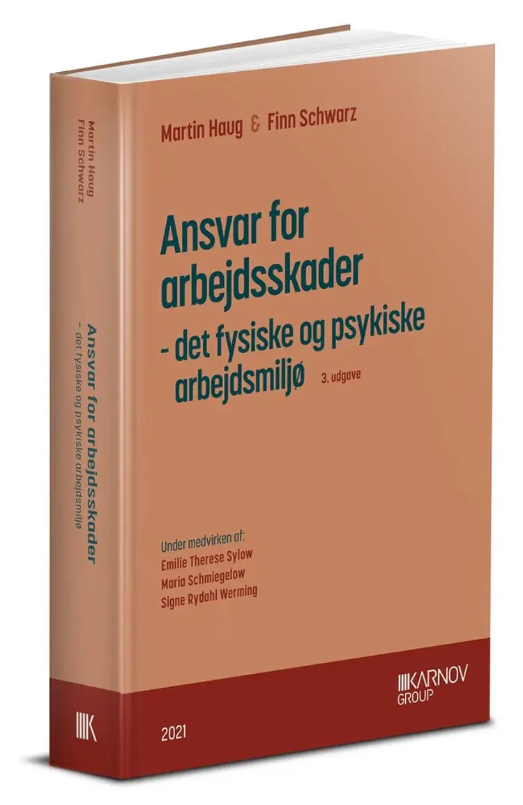 Ansvar for arbejdsskader af Finn Schwarz
