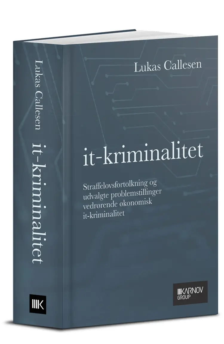 IT-kriminalitet af Lukas Callesen