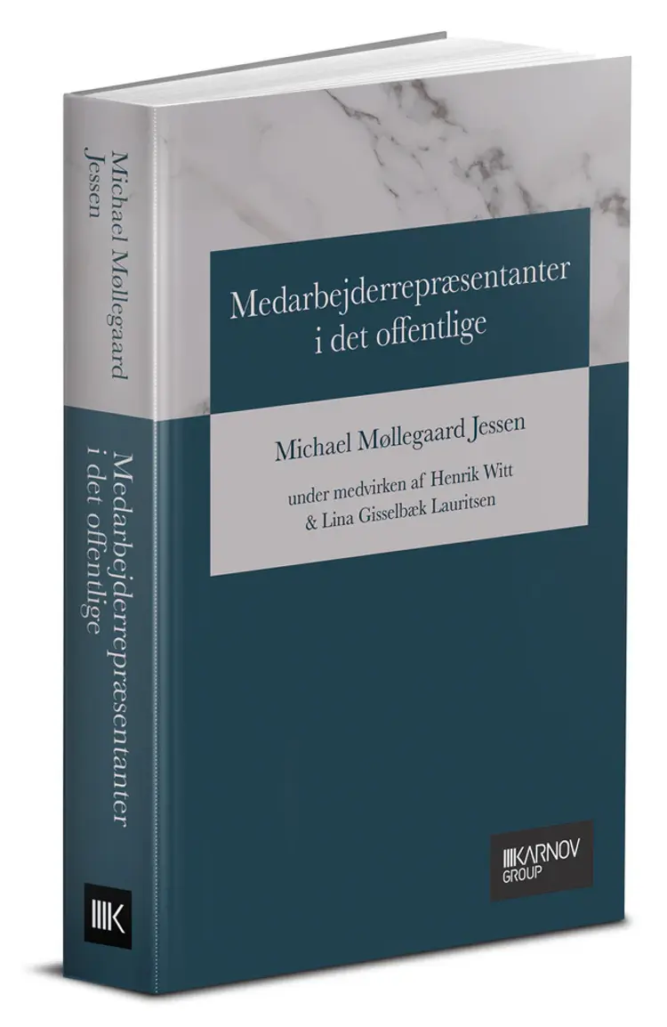 Medarbejderrepræsentanter i det offentlige af Michael Møllegaard Jessen under medvirken af Henrik Witt Lina Gisselbæk Lauritsen