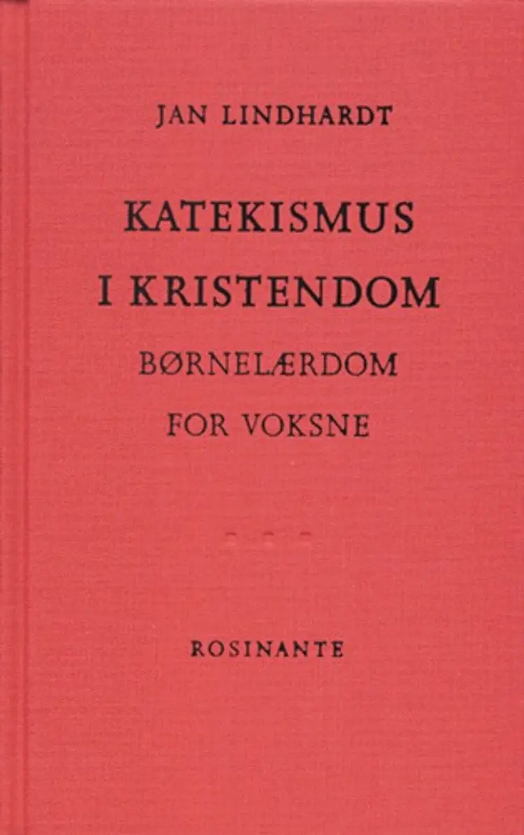 Katekismus i kristendom af Jan Lindhardt