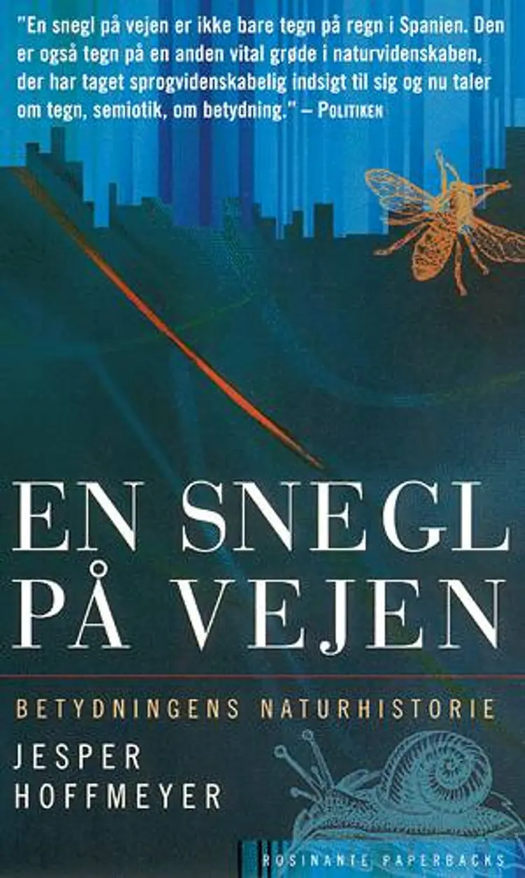 En snegl på vejen af .
