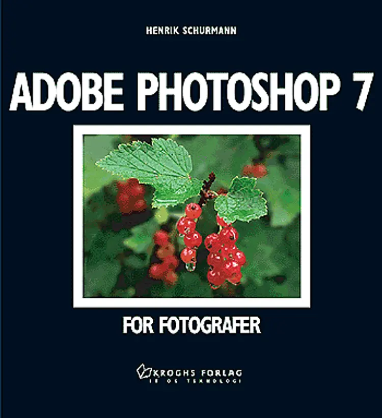 Adobe photoshop 7 af Henrik Schurmann