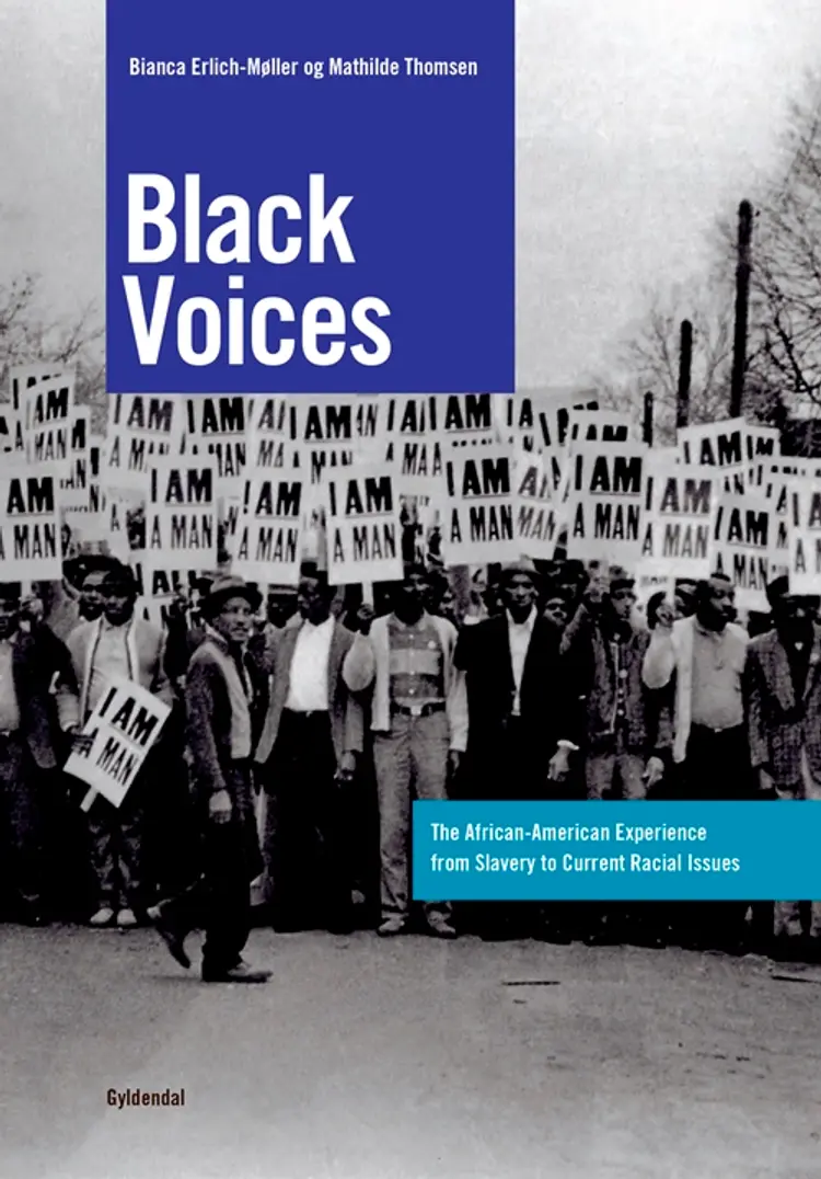 Black voices / i-bog af Karen Christensen